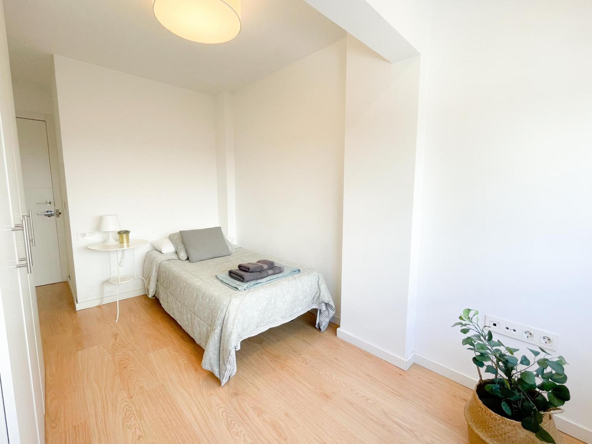 Moderno Apartamento Plz De La Merced Málaga Dış mekan fotoğraf